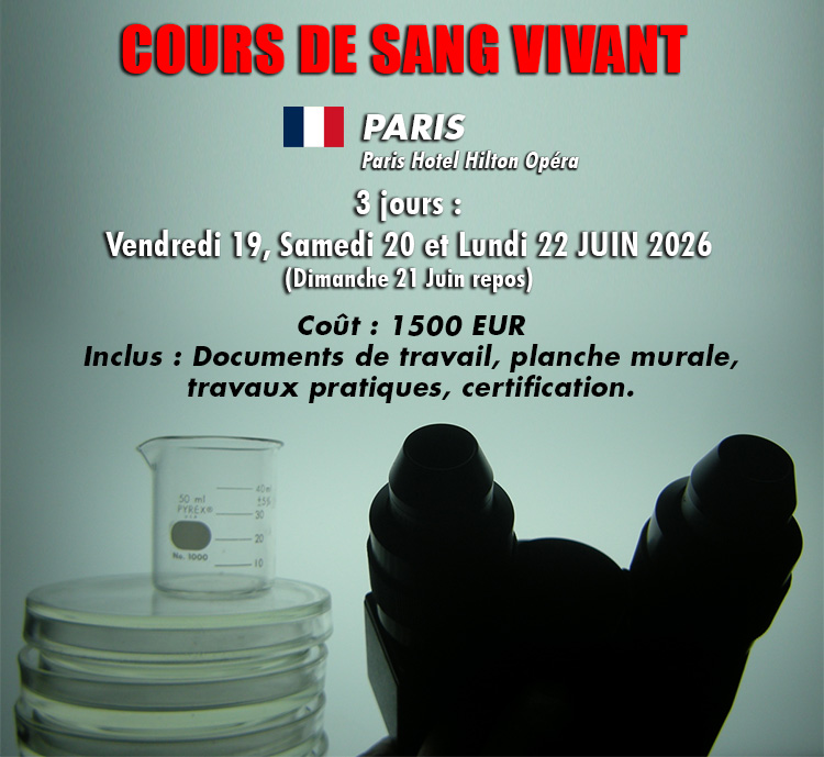Cours Sang Vivant cour 2026